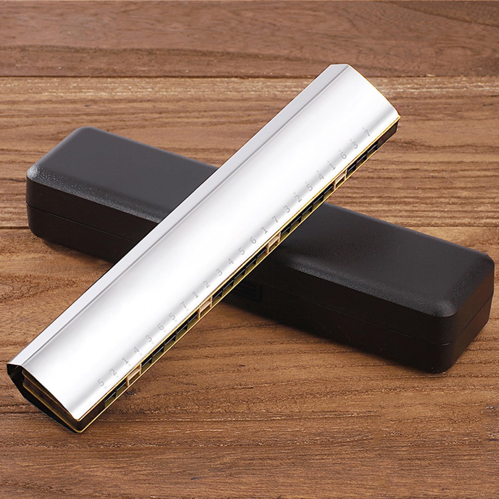 Armonica Tremolo A 24 Fori In Do - Con Custodia Rigida Per Principianti E Musicisti - Foto 9