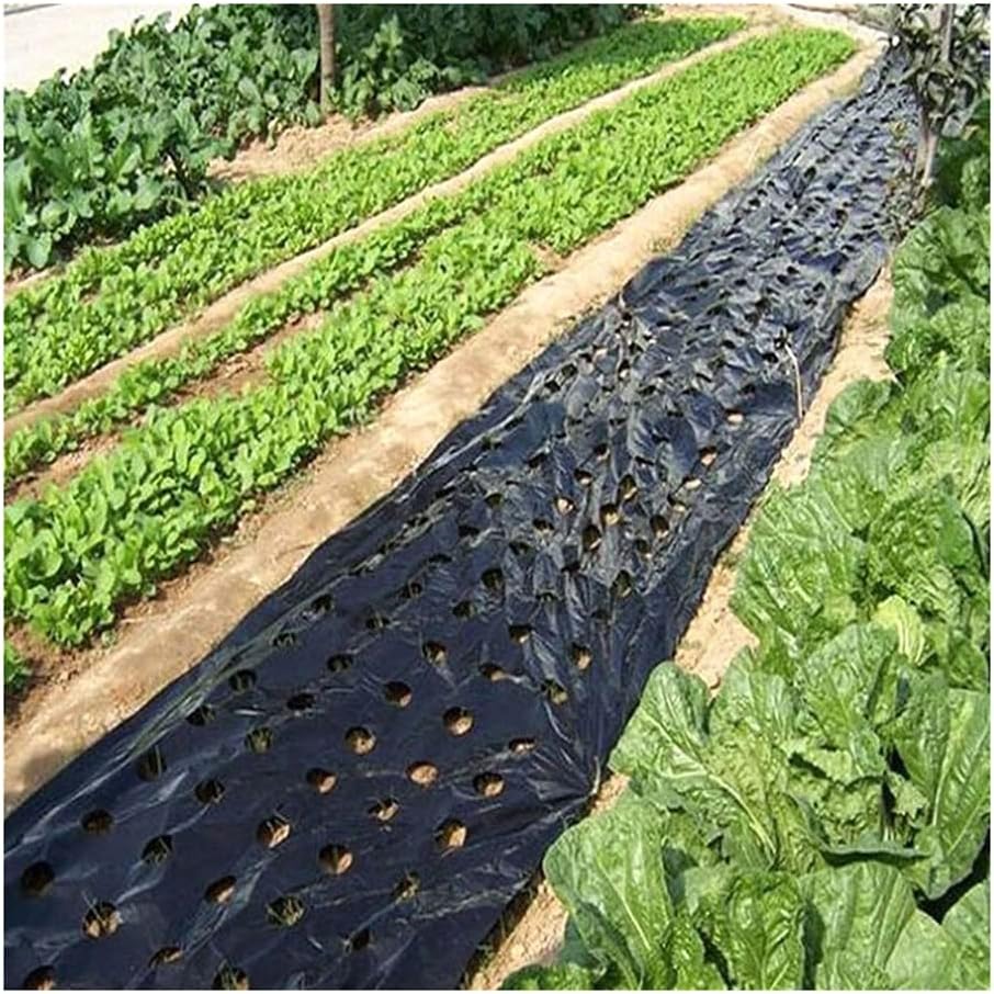 CHALKE 5 Hole Mulch Film, Black Garden PE Weeding Film Vegetable Mulch Film for Plant Cultivation Greenhouse Agriculture