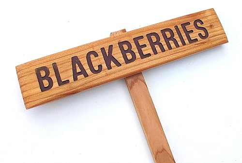 BLACKBERRIES Garden Sign, Summer Berries, Hand Routed Plant Marker, Oregon Summer Fruit, Custom Garden Sign, Personalized Garden Marker