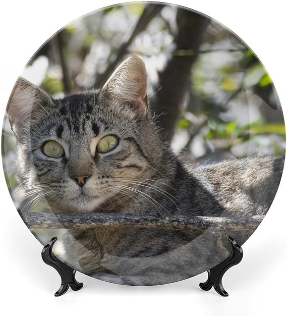 Animal Cat Decorative Plate, Ceramic Wall Decor Plate