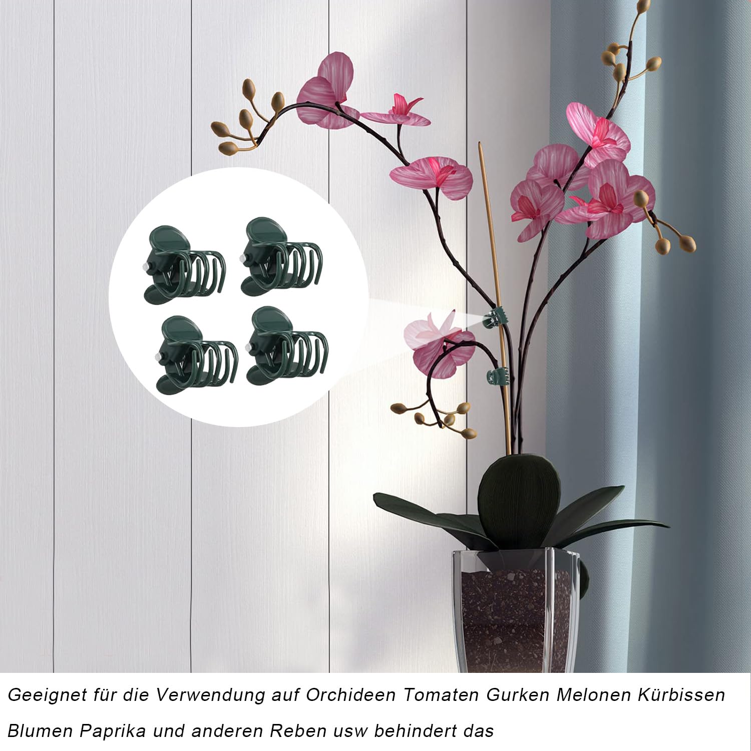 100 sztuk wytrzymałych klipsów do storczyków – rozkładane 180° bez łamania | Tworzywo sztuczne zapewnia stabilne trzymanie storczyków Phalaenopsis dla ich prawidłowego wzrostu – ciemnozielony