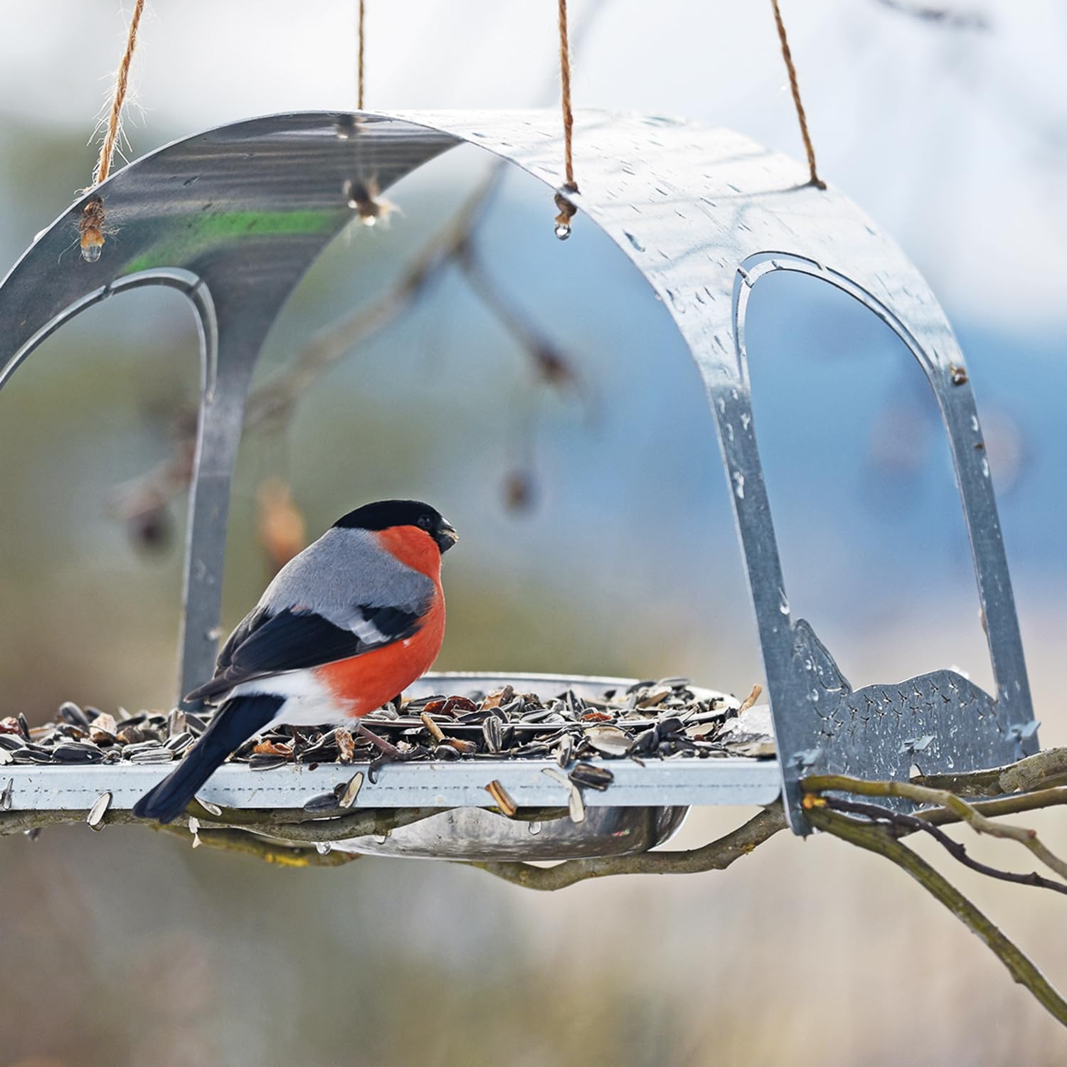 bellissa Vogelhaus SPATZI Vogelfutterhaus aus Metall Silber