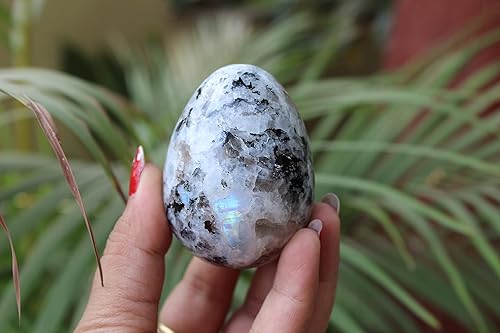 Miniatura 3 de Jet Superb R.Moonstone - Folleto de piedra preciosa sin huevos, terapia de cristal, esfera de servidumbre, magia de Pascua, adivinador de roca del