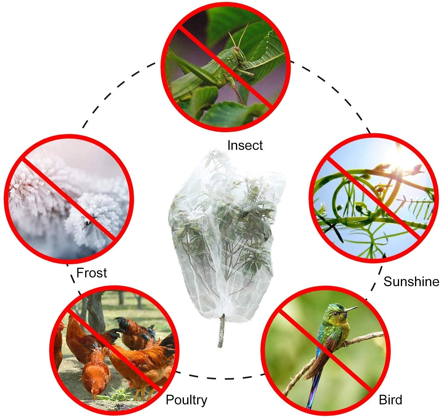 2 Reti Protettive Per Piante Con Coulisse – 0,7x1 M – Antinsetto E Antiuccello Per Orto E Giardino - 3