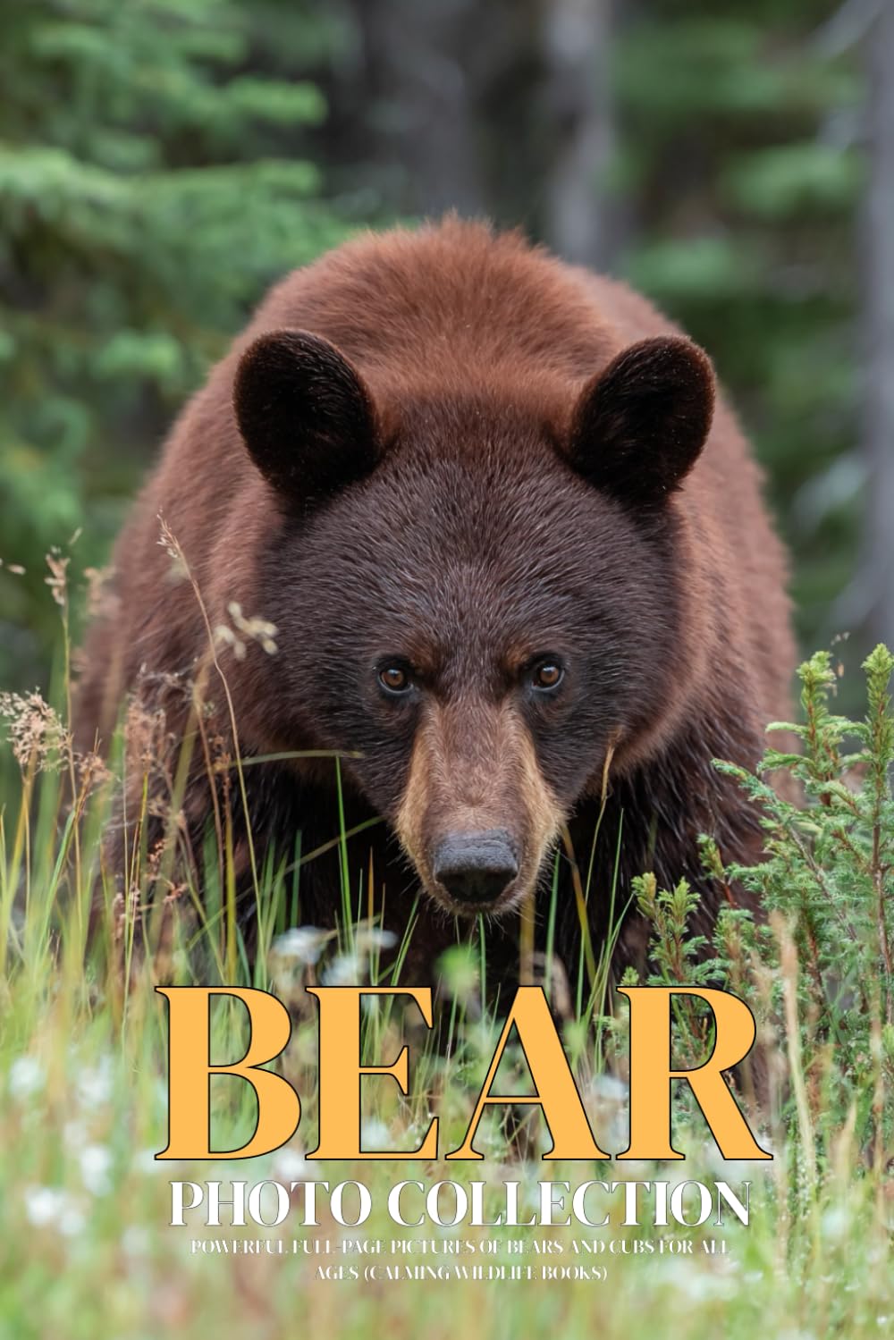 Bear Photo Collection: Powerful Full-Page Pictures of Bears and Cubs for All Ages (Calming Wildlife Books)
