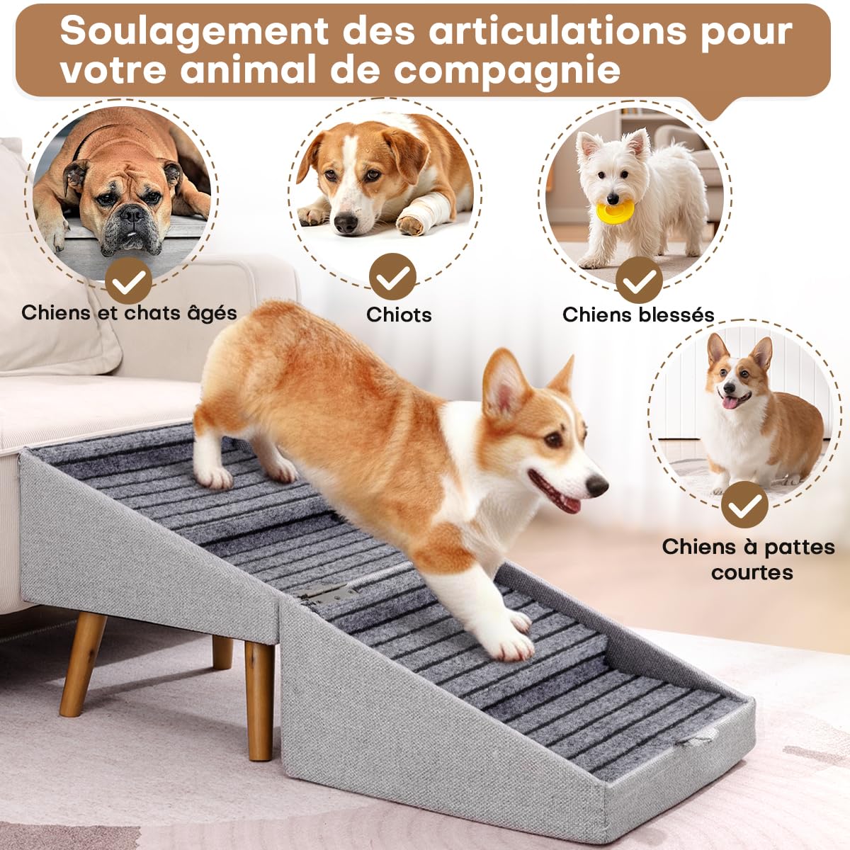 Escalier pour Chiens et Chats 2 en 1, 4 Marches Rampe et Marches pour Canapé Lit, Pente Douce Protège Articulations, Antidérapant(Gris Clair - 43,5 cm Haut)