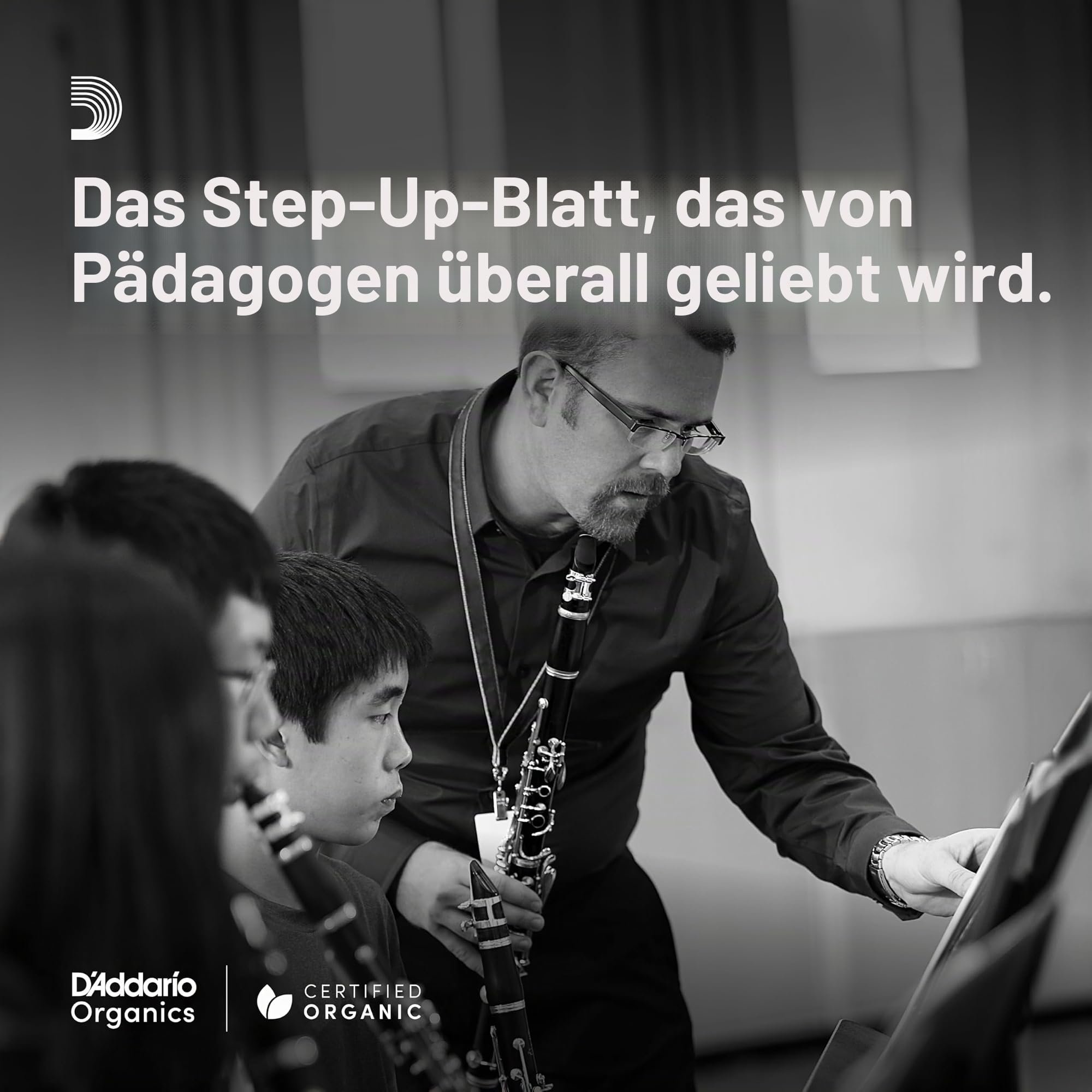Royal Blätter für Sopransaxophon Stärke 2.0 (10 Stück)