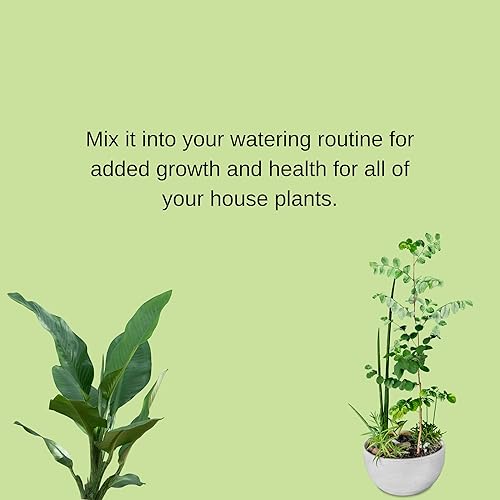 Vista 4 de Houseplant Hero - Alimento multiusos para plantas - 10-10-10 fertilizantes para plantas de interior (8 onzas)