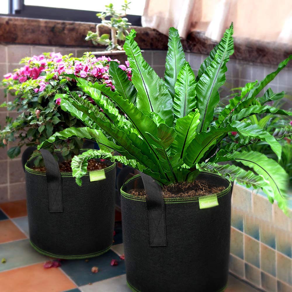 Pasquini & Bini: Innovazione Nei Vasi In Plastica - Foto 3