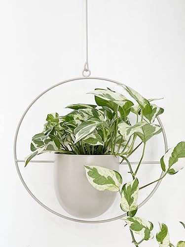 Colgador de metal blanco bohemio, maceta colgante de pared y techo de metal, maceta moderna, soporte para macetas de mediados de siglo, maceta