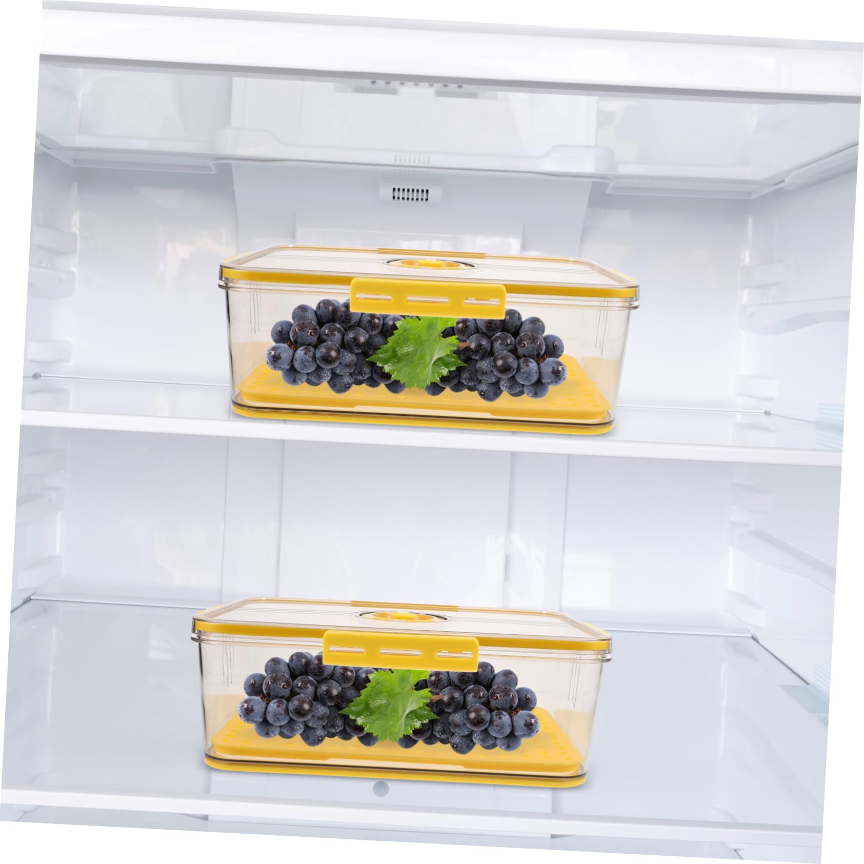 Caja de Almacenamiento para Pan Pet con Tapa Hermética y Temporizador