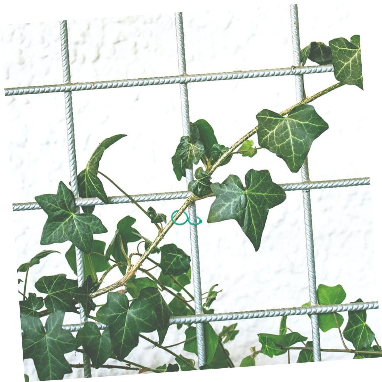 Kisangel 400pièces Clips De Fixation pour Plantes Supports Jardin Multifonctionnels pour Tiges De Tomates Concombres Et Vignes Accessoires De Jardinage Résistants pour Croissance