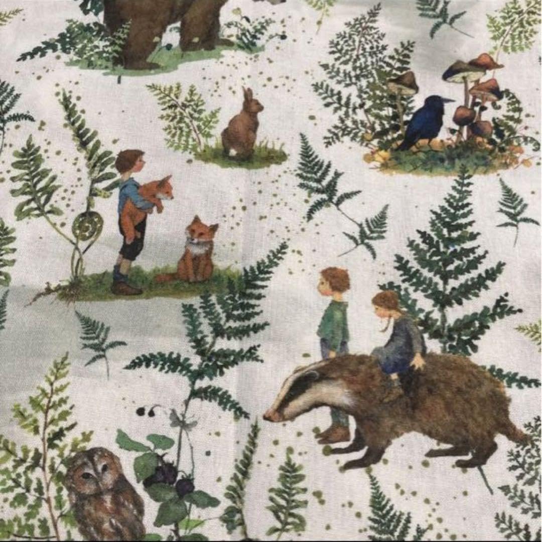 Amazon.co.jp: 残り僅か 本日 秋の ドイツ生地 アクファクトゥム 森の  