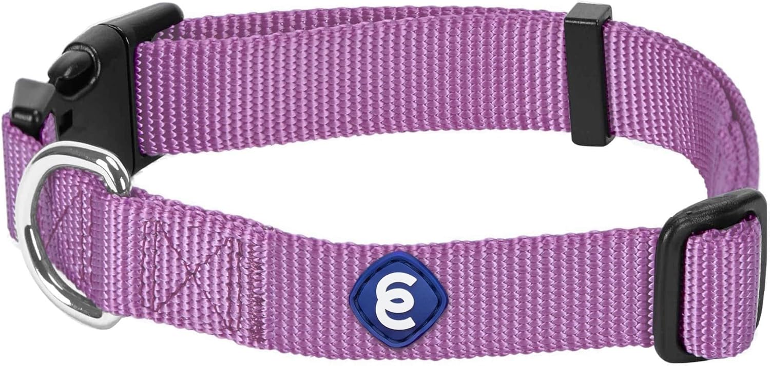 Blueberry Pet Essentials Matching Medium Dog Collar | Adjustable Classic Solid Color Nylon Dog Collars for Small Dogs | Purple Dog Collar for Small Dogs