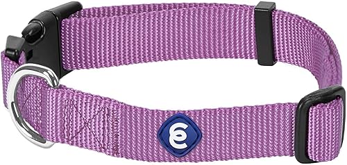 Blueberry Pet Essentials 2023 - Collar clásico, ajustable y duradero de nailon, color morado, tamaño M, cuello de 14.5 a 20 pulgadas, para hembras