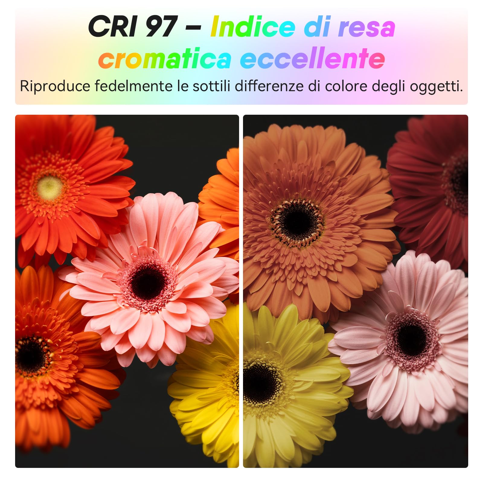 Moman Piccola luce LED per fotocamera da 40 W, Full RGB con diffusore, controllo app, 2500-9000 K, CRI 97+, ricarica rapida USB-C, luce di riempimento portatile per fotografia Sony/Canon/registrazione