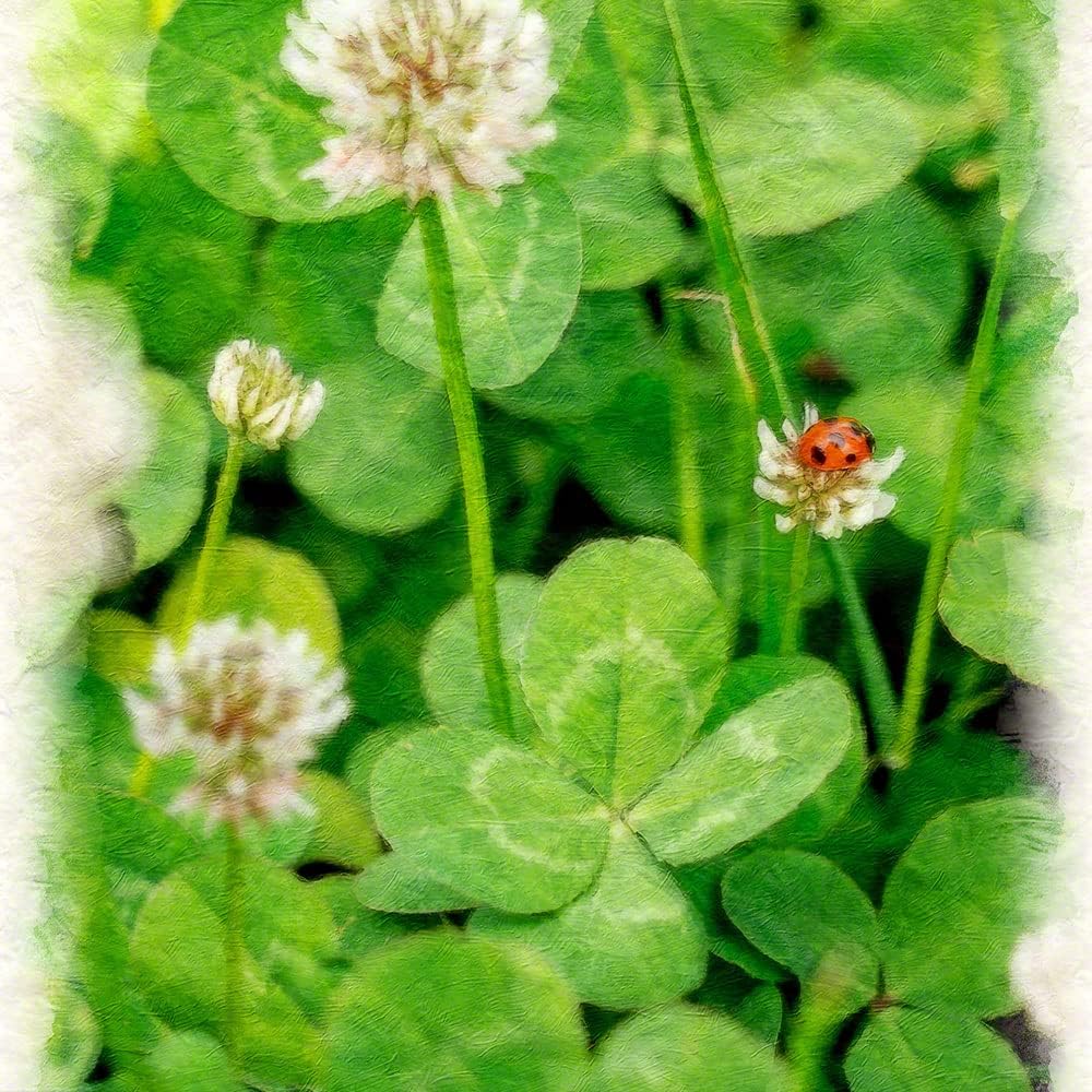 Amazon Co Jp 絵画 和紙 アートパネル モダン 油絵 四葉のクローバーとテントウムシ 30x21cm 風水 絵 玄関 インテリア おしゃれ 風景画 金運 ポスター 壁掛け グッズ 春 緑 グリーン ホーム キッチン