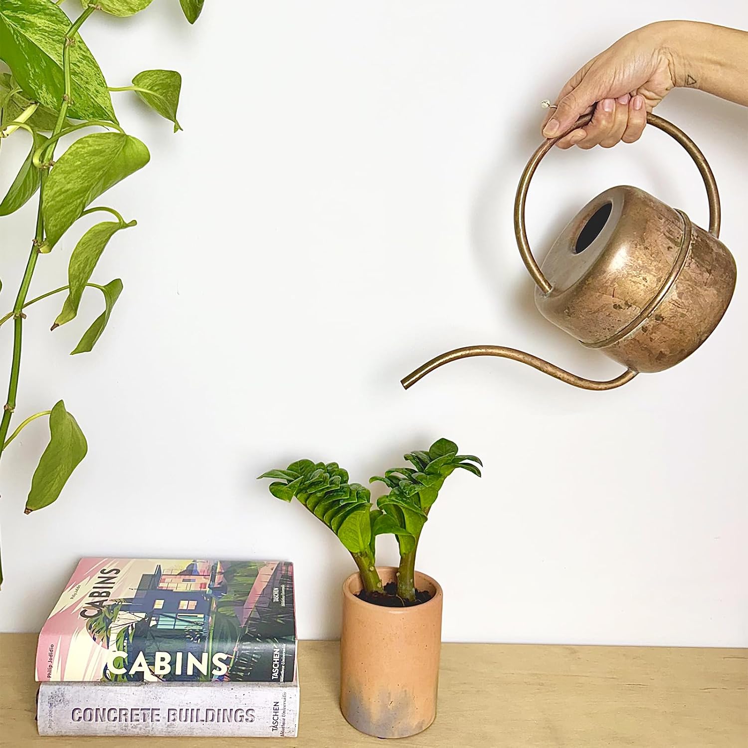 Gron Atolye Unique Concrete Flower Pot, Modern Handmade Cylindrical Cement Planter with Drainage Hole, Indoor & Outdoor, Natural Artistic Touch to Home, Office and Garden (Salmon, Small)