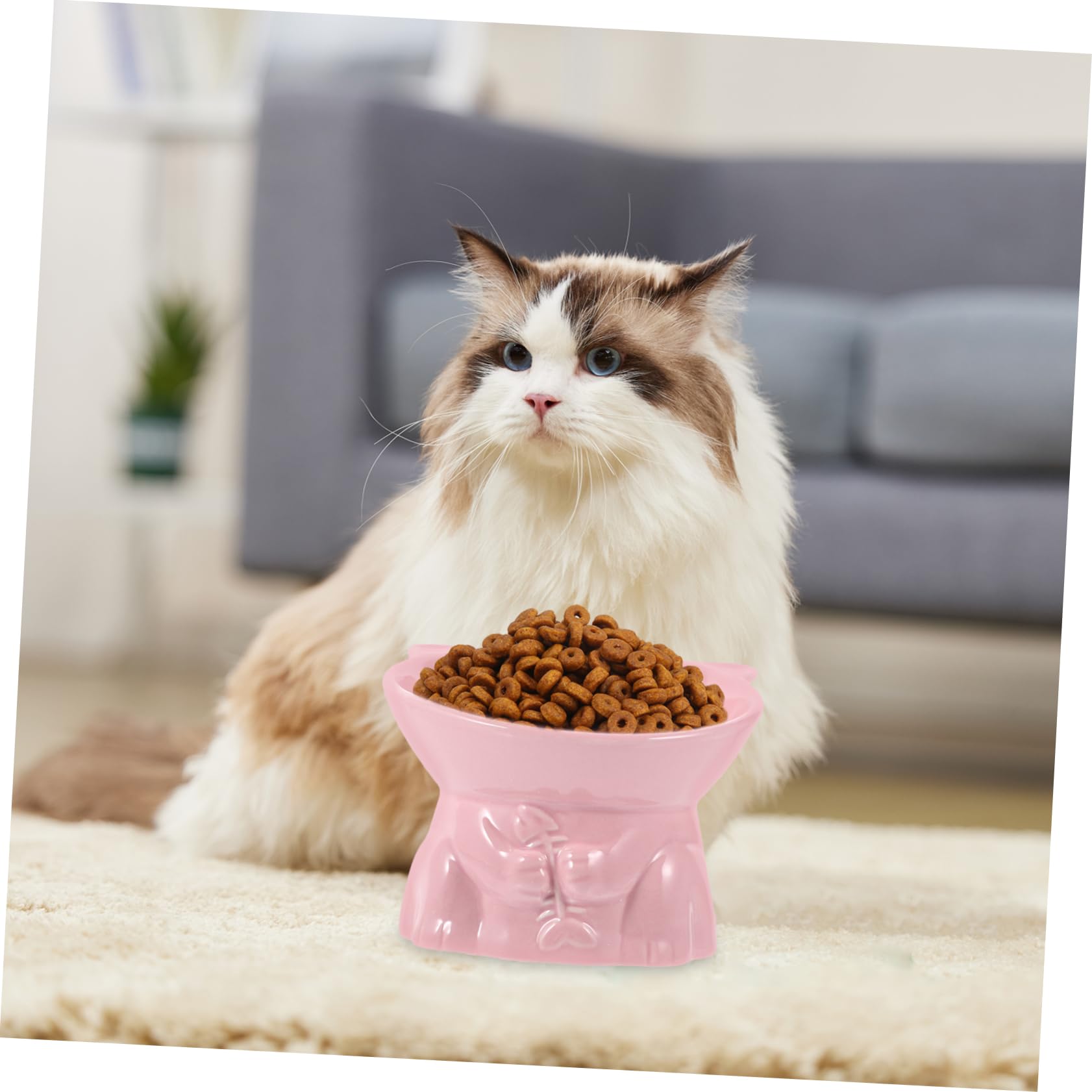 VICASKY Erhöhter Katzennapf aus Keramik mit Einzigartiger Form Leicht zu Reinigen und Bissfest zum Füttern und Trinken für Katzen und Haustiere