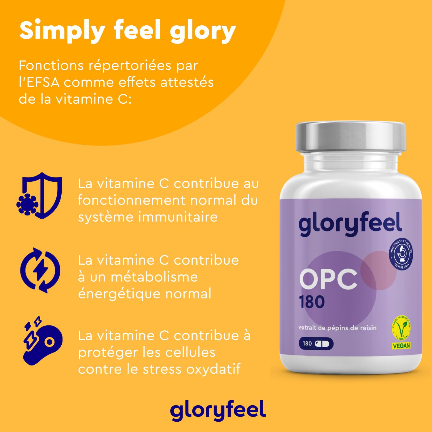 OPC 95% Extrait de Pépins de Raisin Resvératrol + Vitamine C, 1052mg d'OPC pur issu de Raisins Français - 180 Capsules Végétaliennes, Antioxydant Puissant, Proanthocyanidine Oligomérique