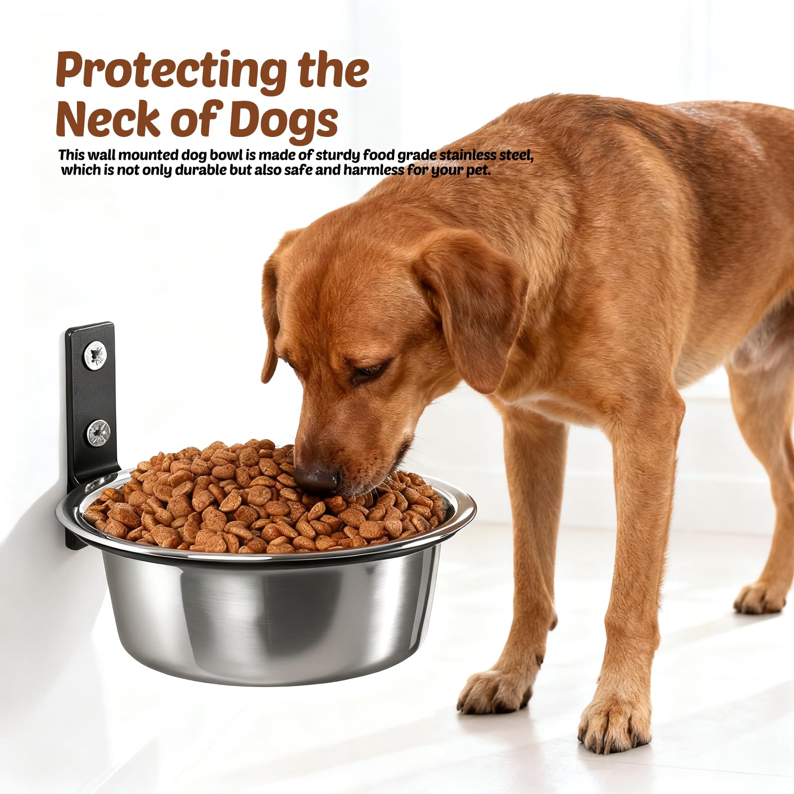 Juego de pared para perros: 2 comederos de acero inoxidable desmontable para perros, cuenco colgante plegable, bandeja para perros elevada para mascotas