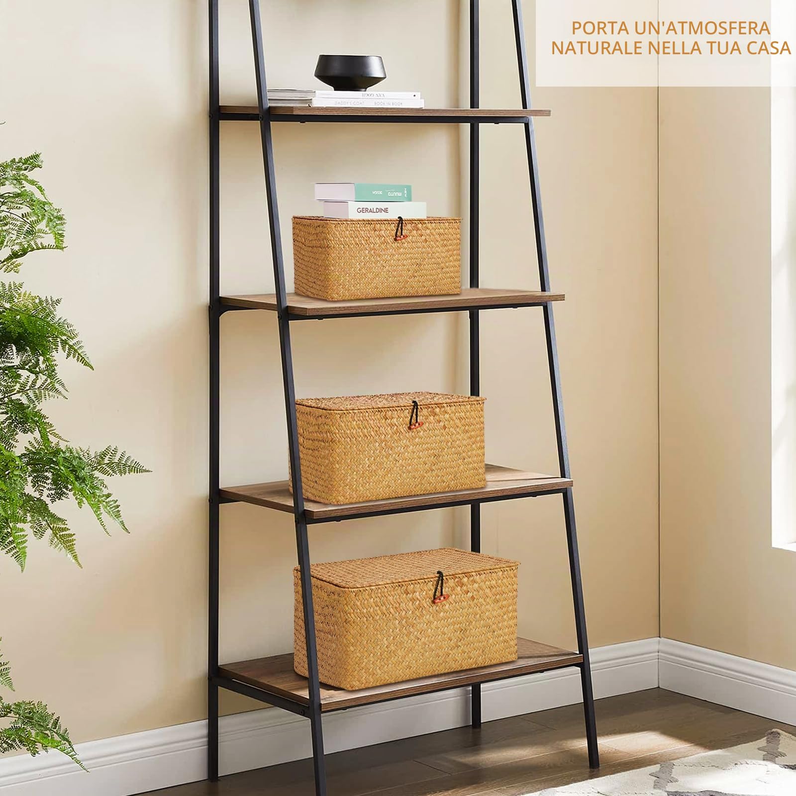 FEILANDUO Set di 3 Cestini con Coperchio Intrecciati a Mano in Marina, Organizer per Trucchi Multiuso Cestini Portaoggetti Cesta Vimini con Coperchio Cestino Naturale Intrecciato con Alghe (Grande)
