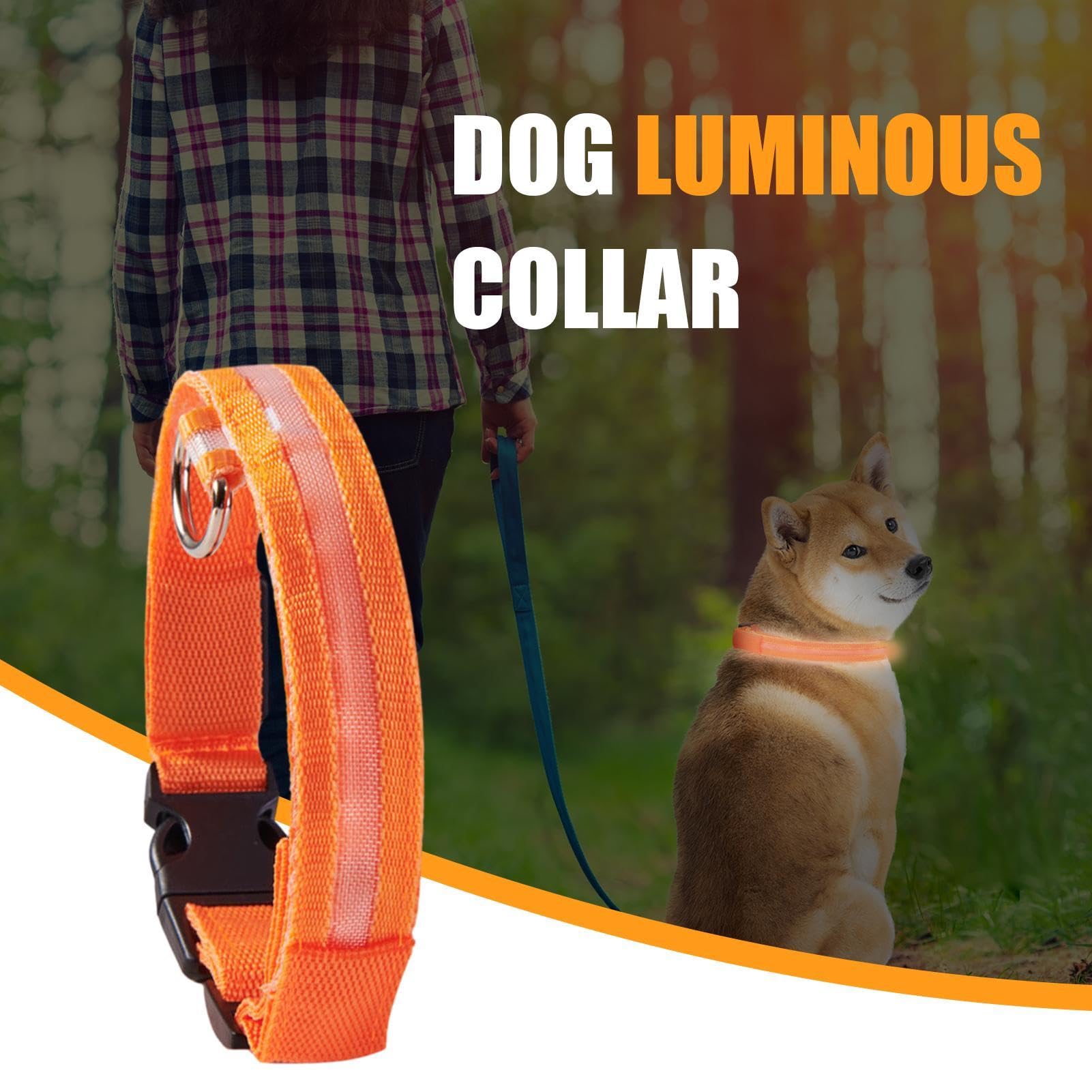 LED | Collare luminoso lampeggiante per cani, collari regolabili che | brillano al buio per cuccioli, cani di taglia media e piccola.
