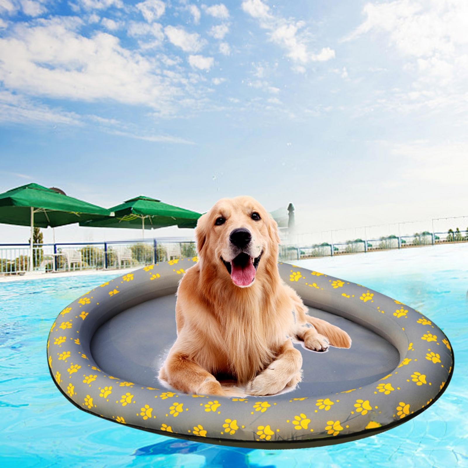 Zattera galleggiante per animali domestici | cane gonfiabile letto galleggiante in fila per piscina, galleggiante piscina galleggiante letto di linea galleggiante giocattolo spiaggia gonfiabile per