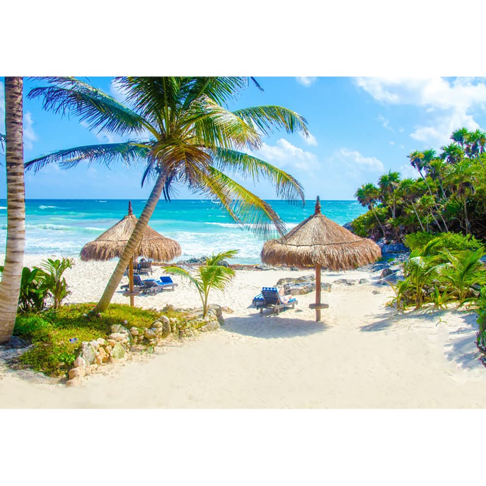 Aoihrraan 3x2m Toile de Fond de Plage Tropicale Été Bord de Mer Palmier Océan Scène Photographie Fond Shoots de Mariage Camp d'été Décor de Fête Anniversaire de Bébé Douche Nuptiale Photo Prop