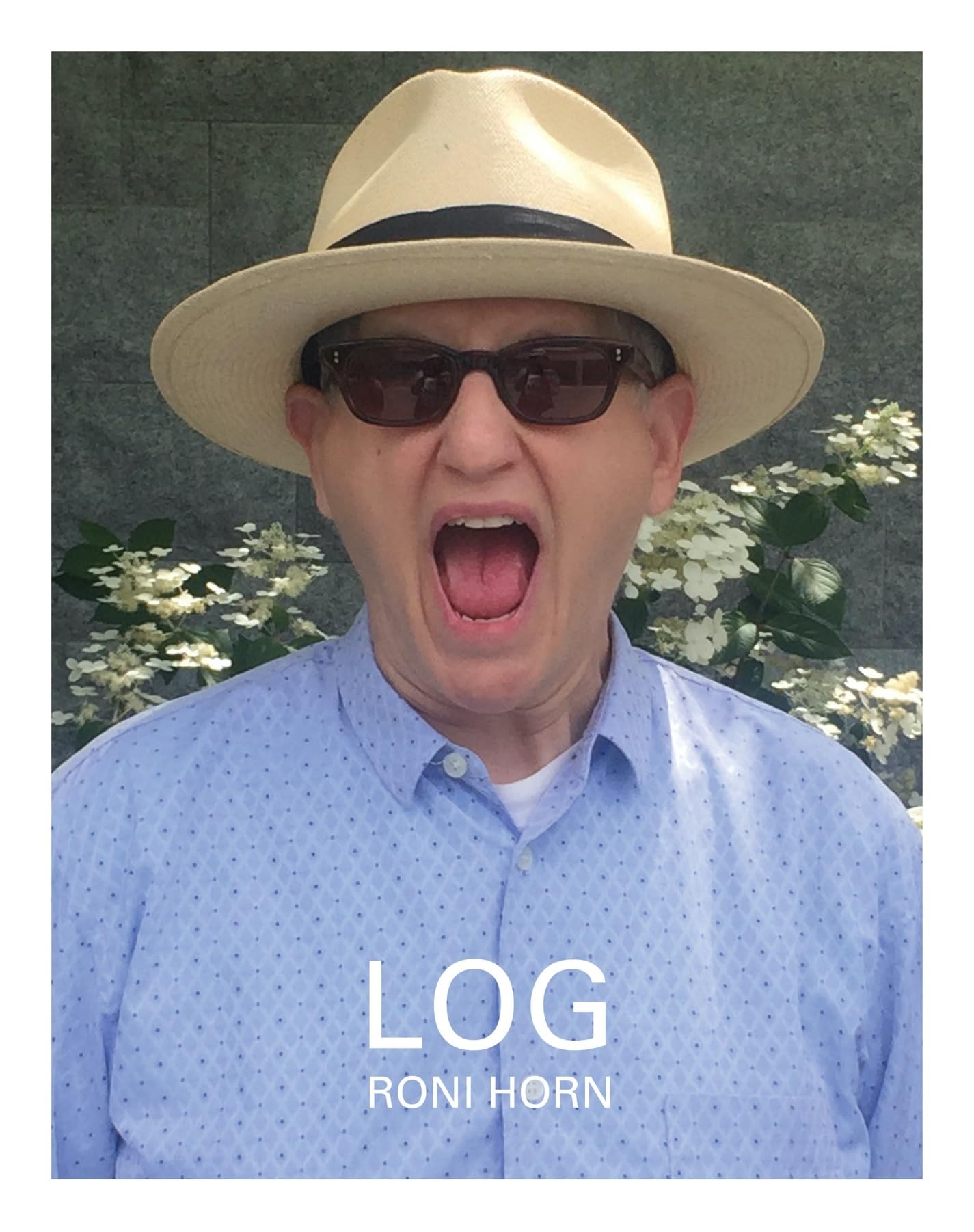 Log: March 22, 2019 - May 17, 2020 Livre Journal Chronologique Récit