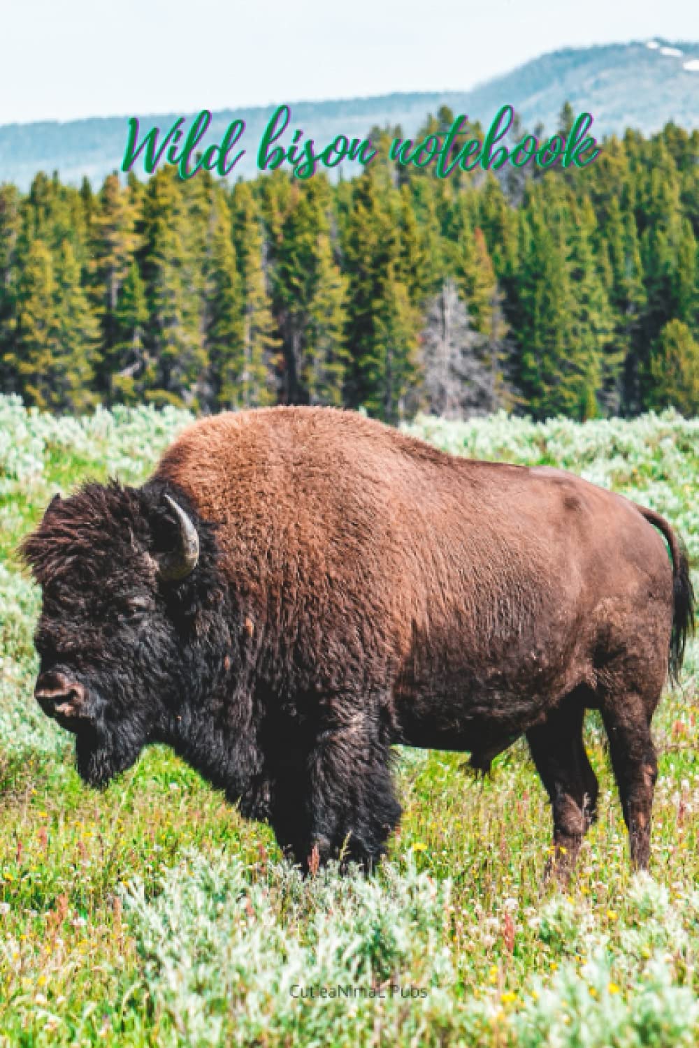 Wild bison notebook