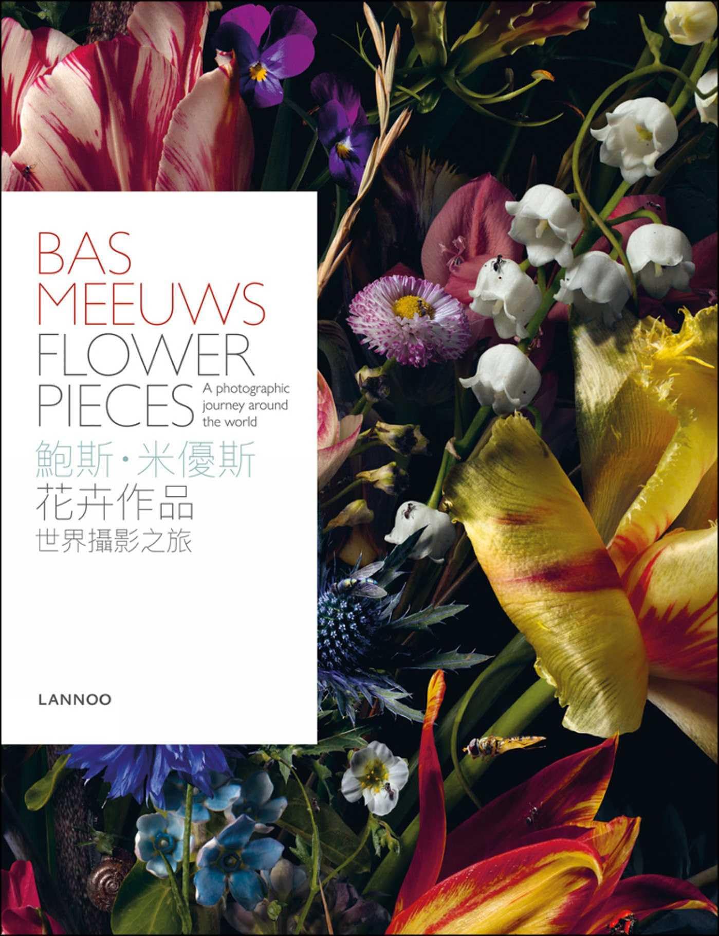 Bas Meeuws: Flower Pieces Beau Livre de Table Salon Élégant