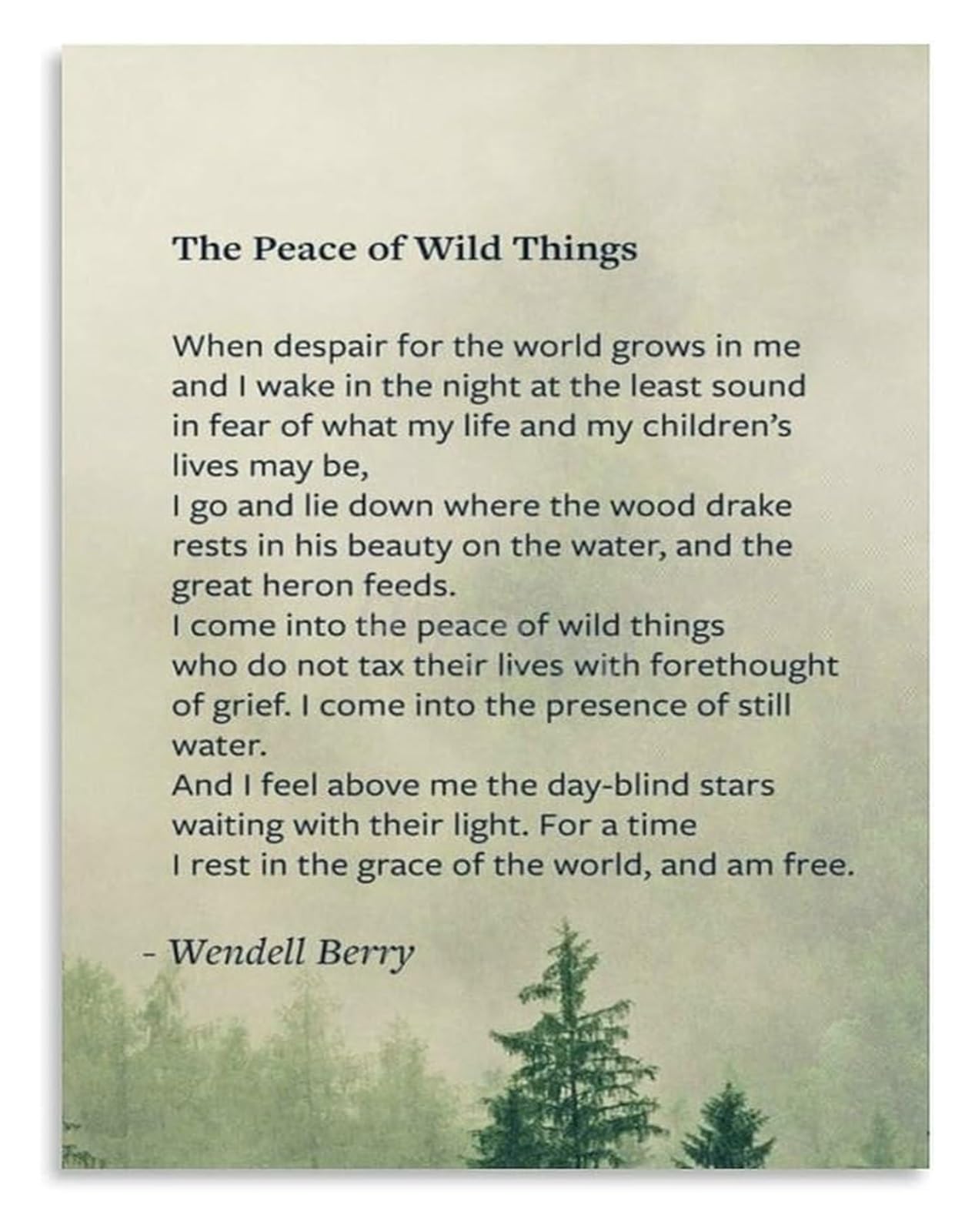 NWPNLXEA Calming Wilderness Landscape Canvas Wall-Art Nature Calm Print for Peaceful Decor