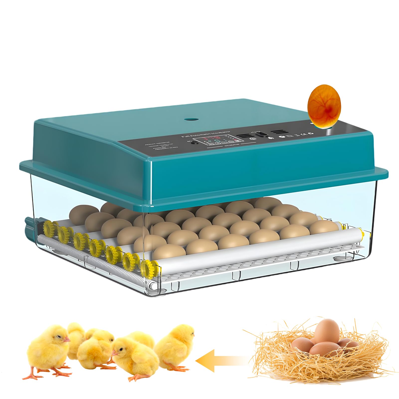 Incubatrice per uova di gallina, 36 uova, incubatrice automatica, controllo intelligente di temperatura e umidità, rotazione automatica, rulli regolabili, luce tester integrata