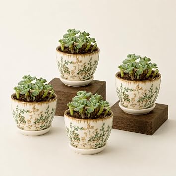 3.5 Inch Ceramic Plant Pots, Nursery Pots with Drainage Hole, 14/24/45 Oz Soup Bowls, Ceramic Kitchen Bowls for Fruit, Snack, Cooking, Baking