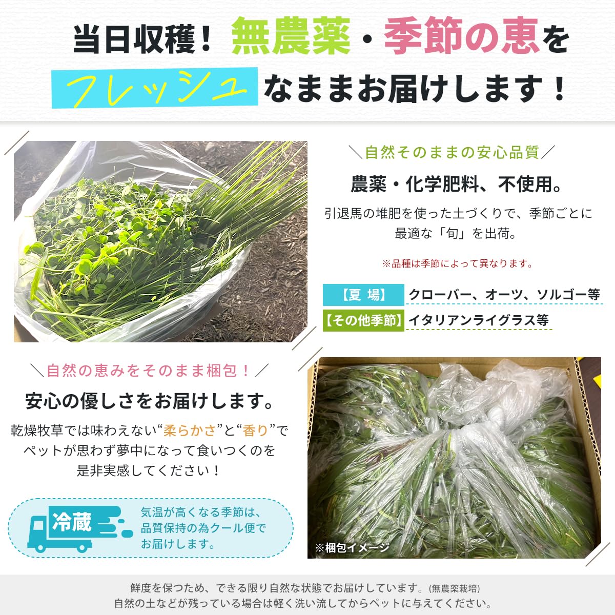 Amazon | 生牧草 国産とれたて 大容量 (イタリアンライグラス