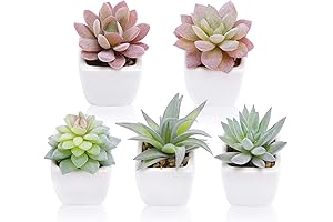 FUNARTY 5pcs Artificial Mini Succulents Plants in White Ceramic Pots