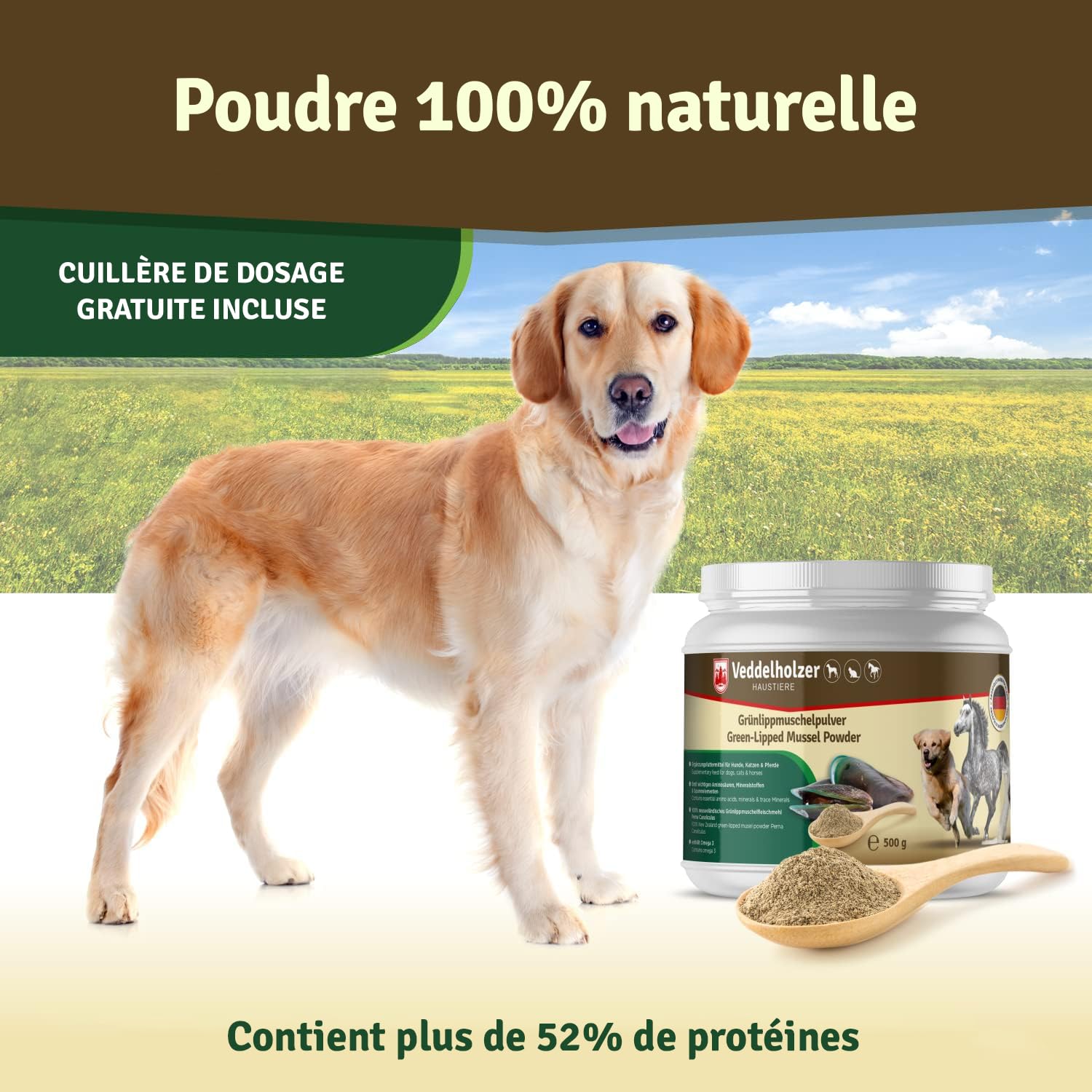 Veddelholzer Poudre 100% Naturelle de Moule aux orles Verts pour Chien 500 g Extrait de Moule Vert avec Acceptation élevée pour Tous Les Chiens