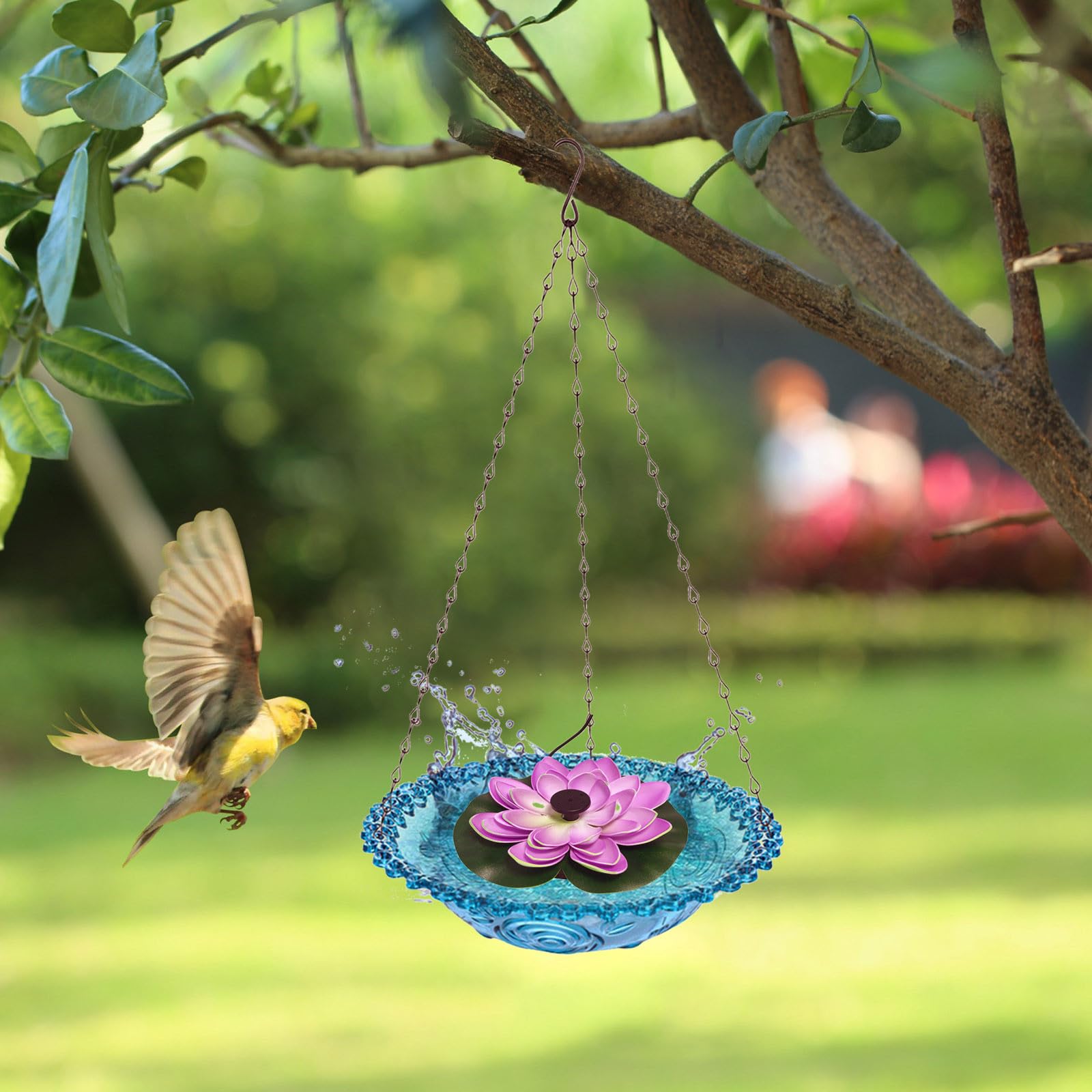 Paquete de 4 baños y comederos de plástico para pájaros para exteriores, cuencos y bandejas para pájaros silvestres, juego de 4 cuencos y bandejas para atraer pájaros silvestres para jardín (azul