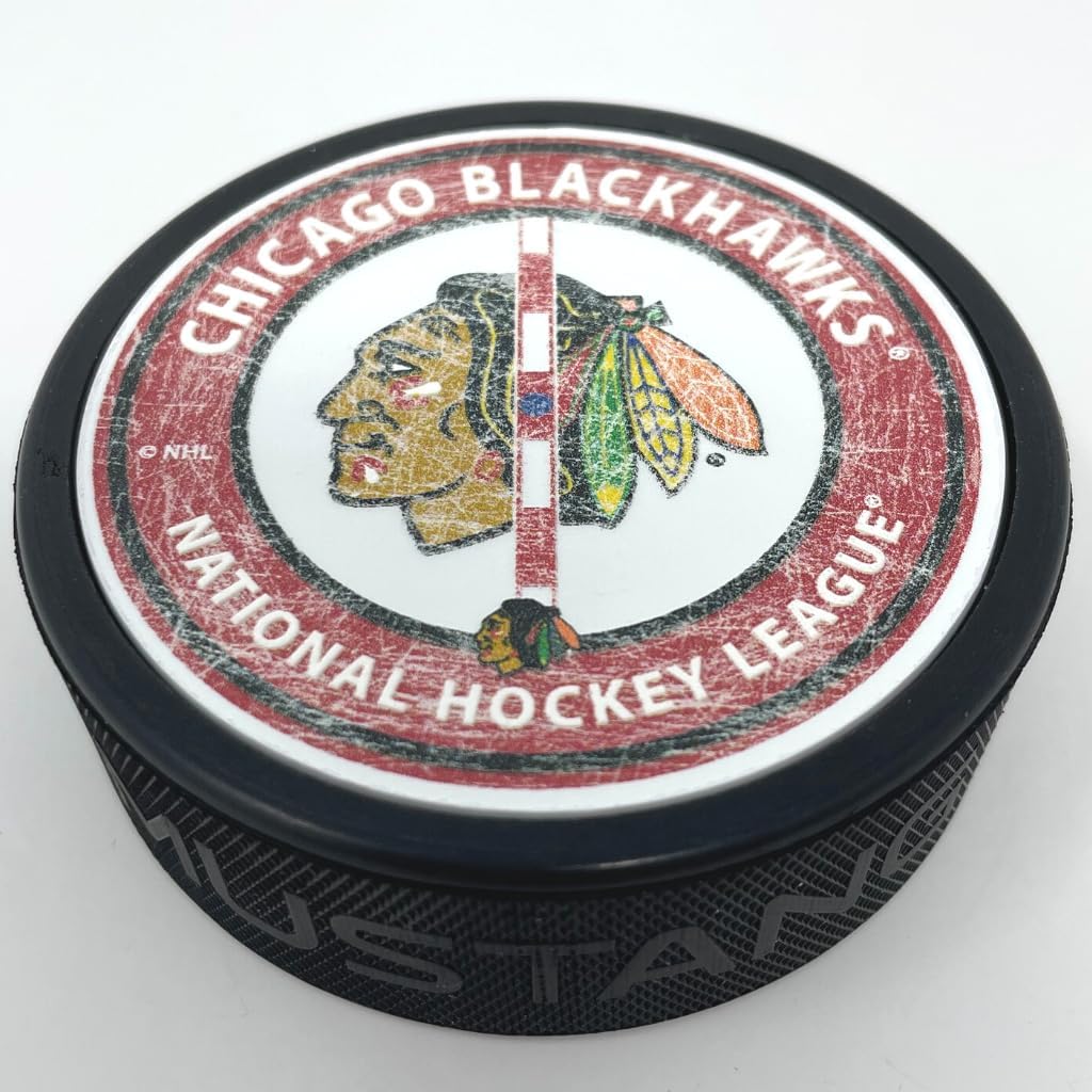 Sports Decor Center Ice Puck