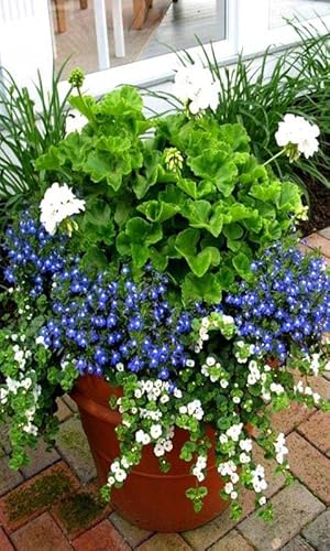 Consejos jardinería bricolaje - imagen 5