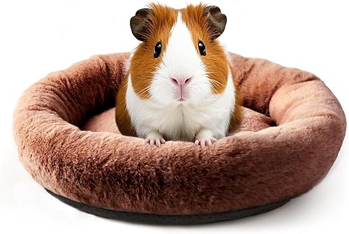 FEBSNOW Guinea Pig Beds, Hamster Bed Hedgehog Bed for Hamster Hedgehog Squirrel Tortoise Lizard and Other Small Animal(Coffee,11.81x 11.81in)