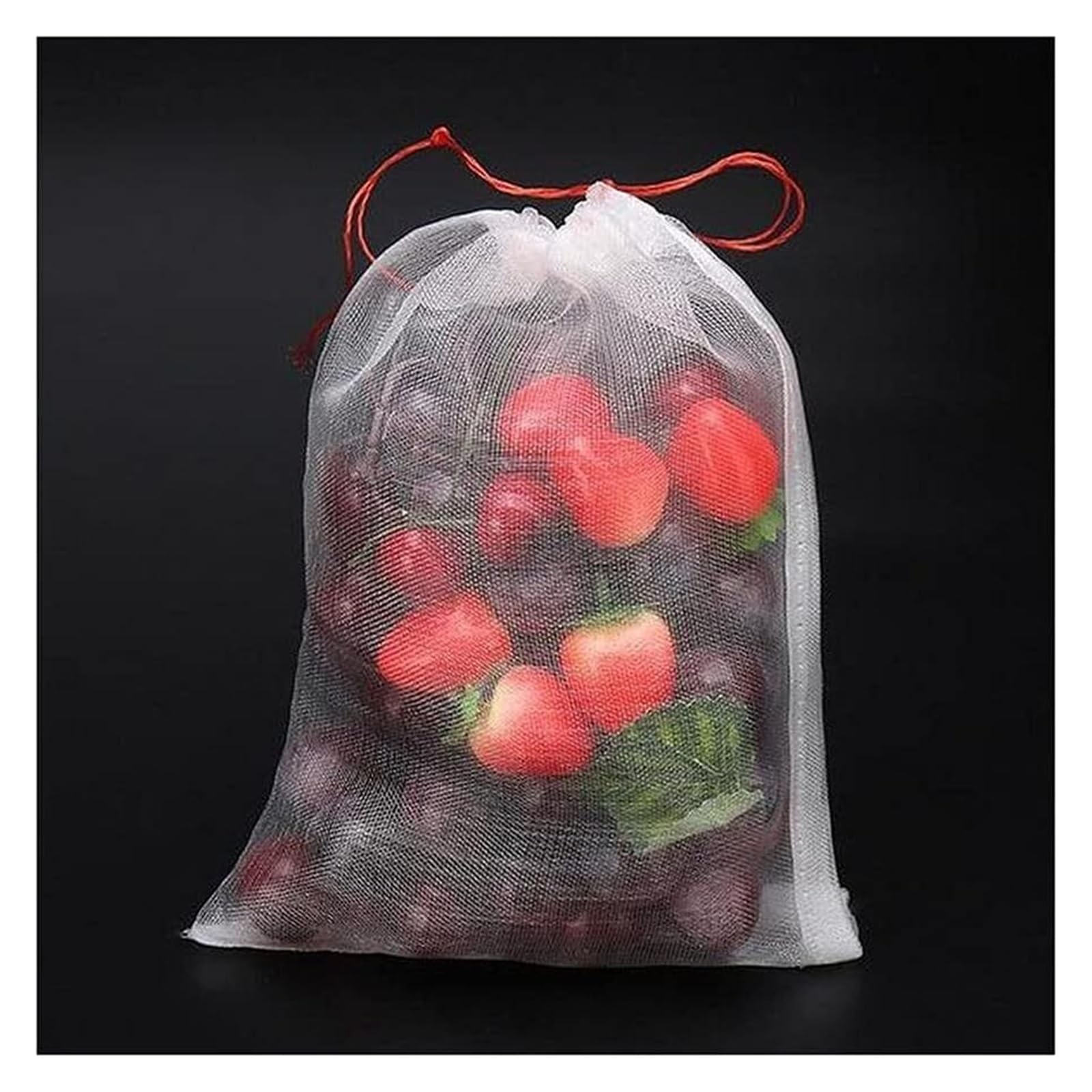 JFGCTYHXY Fruit protection bags, 10Pcs/Lot Garden Vegetable Grapes Apples Agricultural Pest Control Anti-Bird Mesh Pouch Grow Bags
