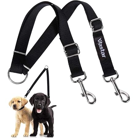 dog walker leash
