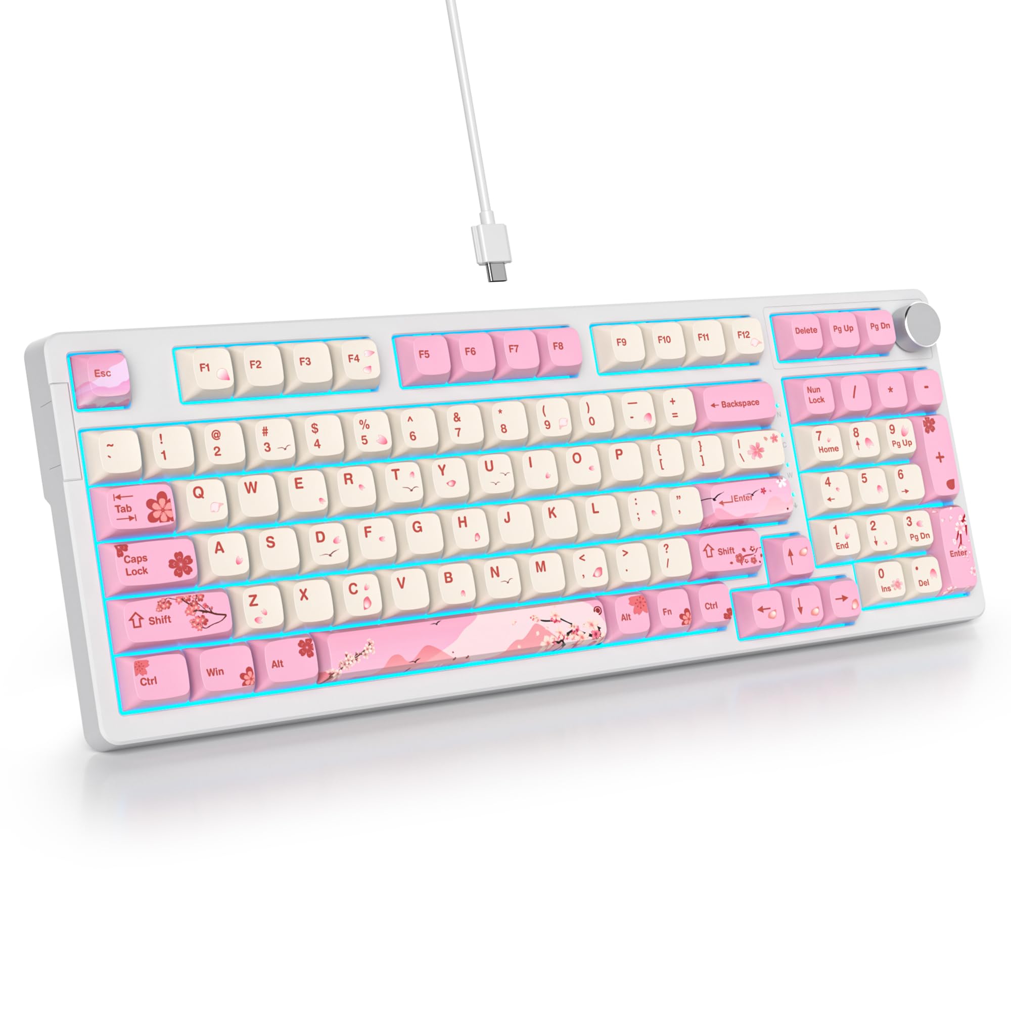 SOLIDEE Teclado mecánico para juegos con cable al 95 %, estructura de junta, teclado retroiluminado RGB, teclado mecánico intercambiable en caliente de 98 teclas con perilla de control, teclado