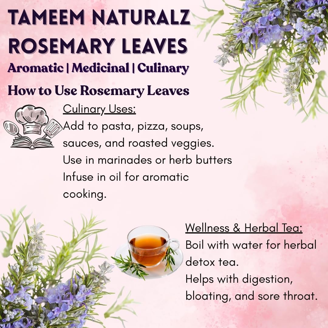 TAMEEM NATURALZ Dried Rosemary Leaves | Pure Organic Rosemary for Hair Growth, Herbal Tea, Aromatherapy, Cooking & Skin Care | Natural Culinary Herb for Tea, Seasoning & Wellness (Premium Quality) - Image 3 thumbnail