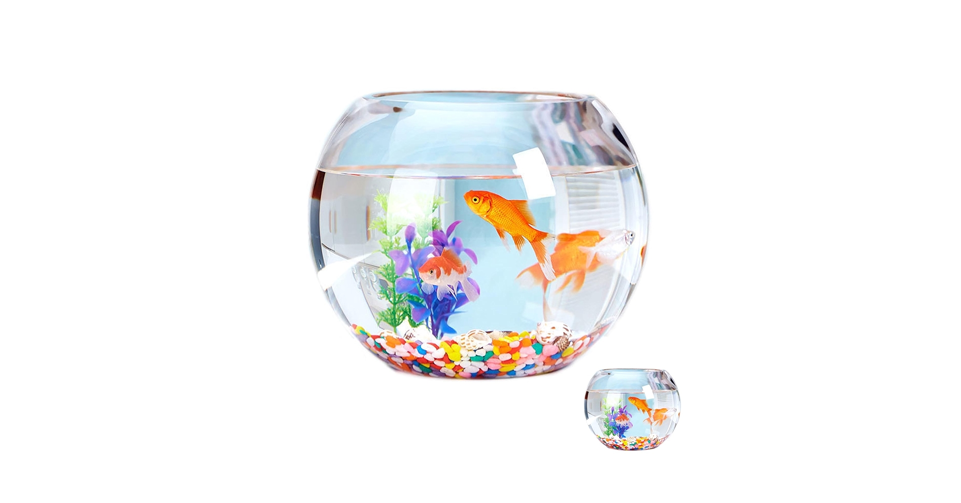 なます皿　瑠璃釉　金魚　水草　金魚藻　金彩　蛇の目　江戸　訳あり なます皿 瑠璃釉 金魚 水草 金魚藻 金彩 蛇の目 江戸 訳あり なます