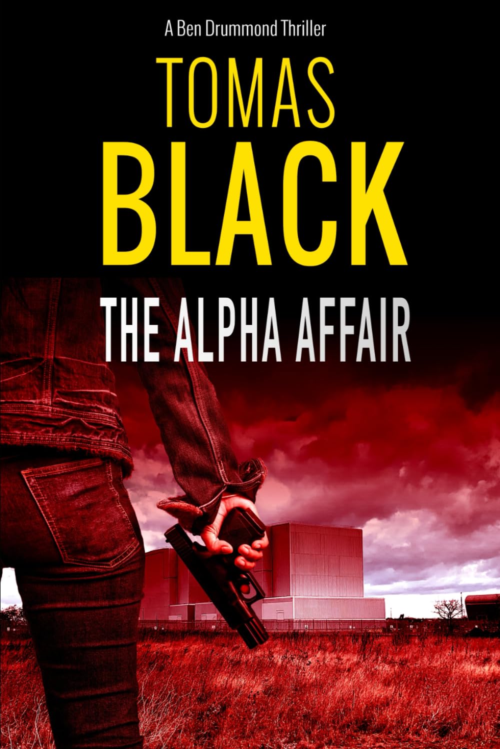 The Alpha Affair: A mystery crime thriller: Ben Drummond Book 4