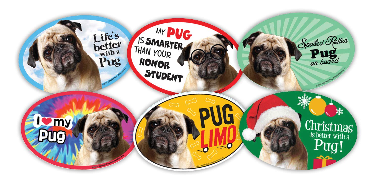 Dog Paw Shaped Magnet – "SPOILED PUG ON BOARD" – Indoor/Outdoor Vinyl Magnet