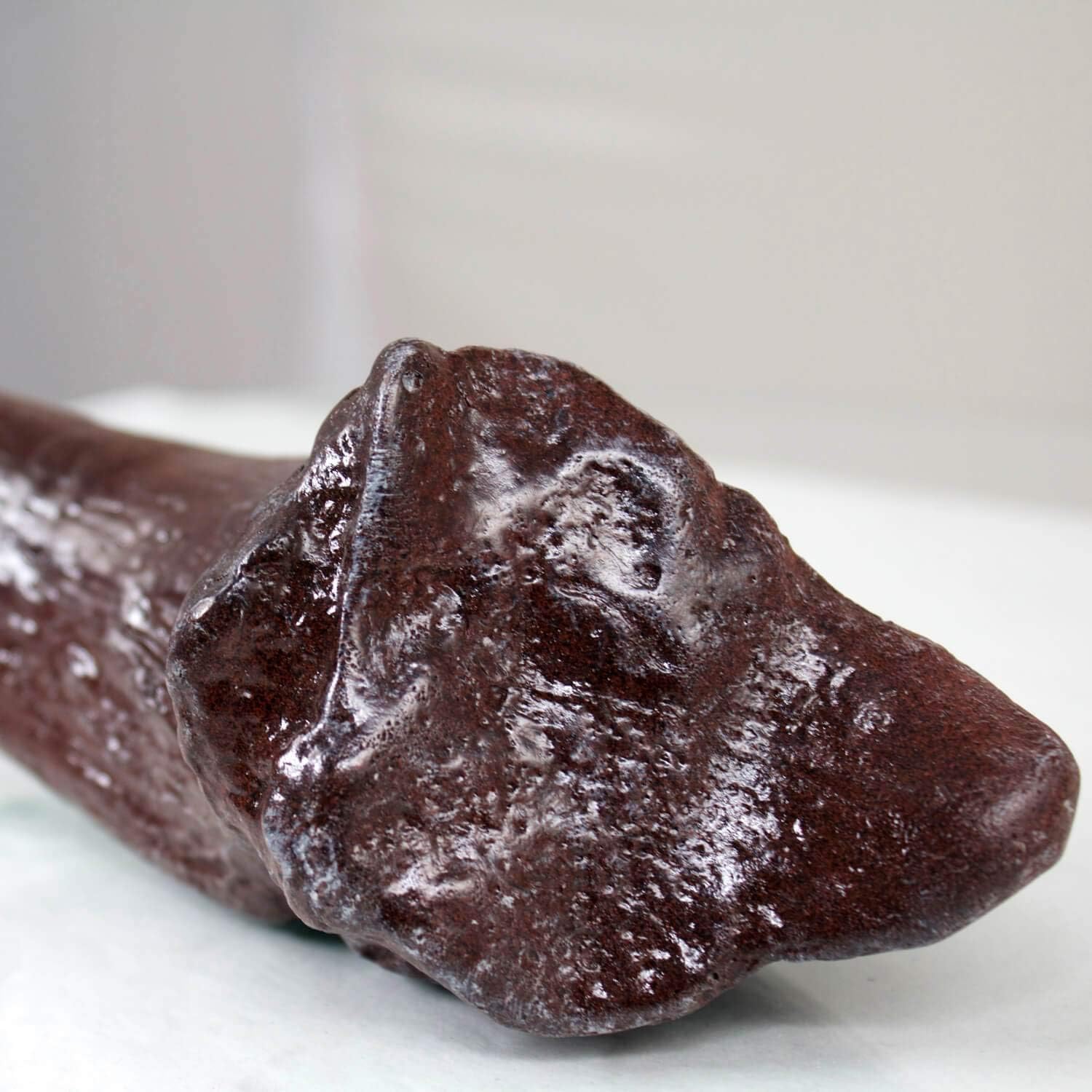 Master Replicas Allosaurus Toe Claw Resin Fossil Replica, Science-Fossils, Fossil Replica, Dinosaur, Child, Teen